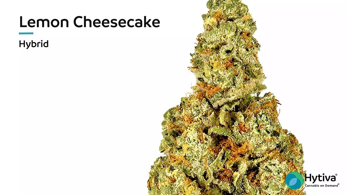 Strain Review Video: Lemon Cheesecake