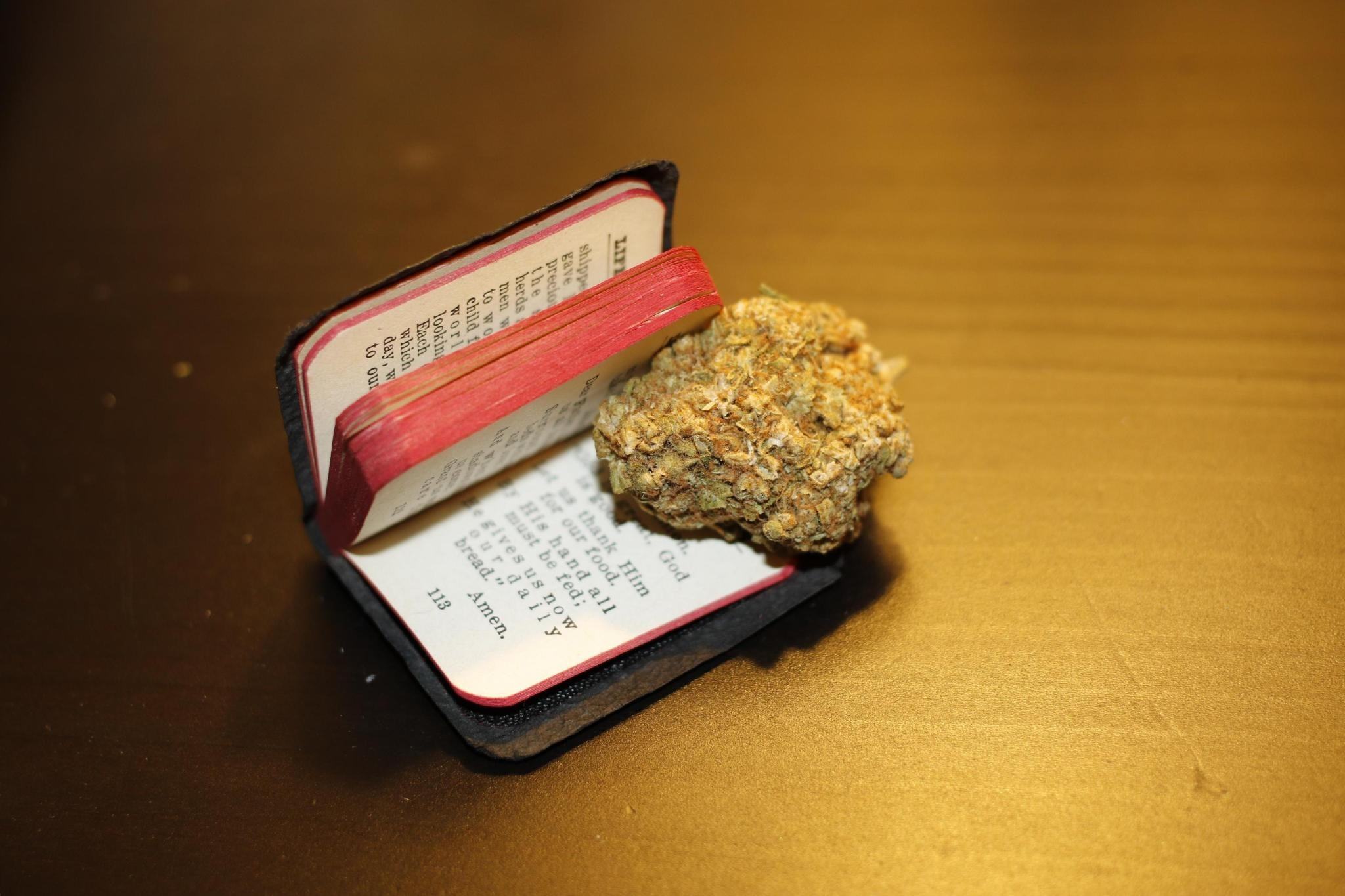 A marijuana nugg sits in between pages of a tiny bible.