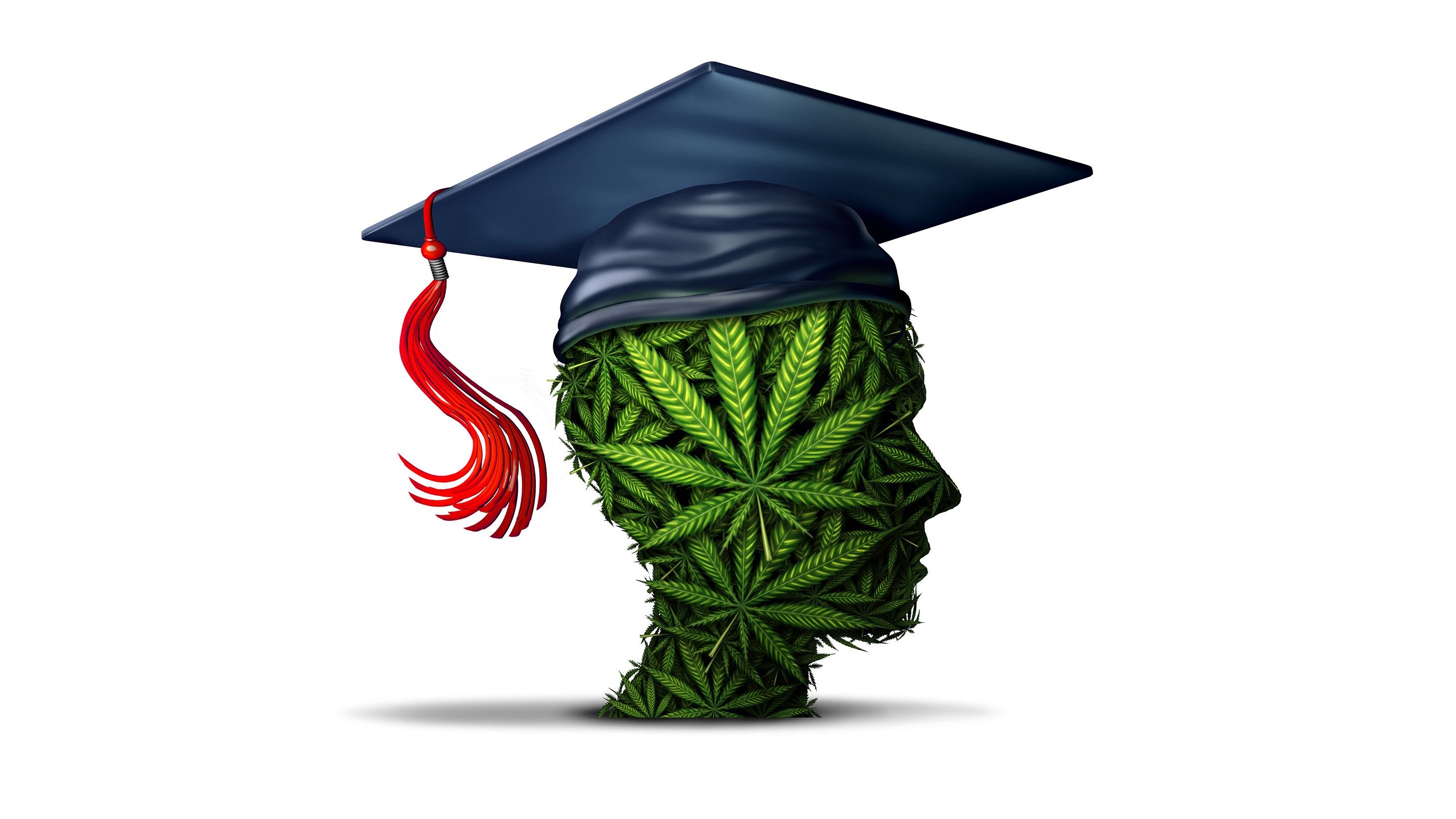 A large selection of schools and online courses are available for those to get certified in the cannabis industry.