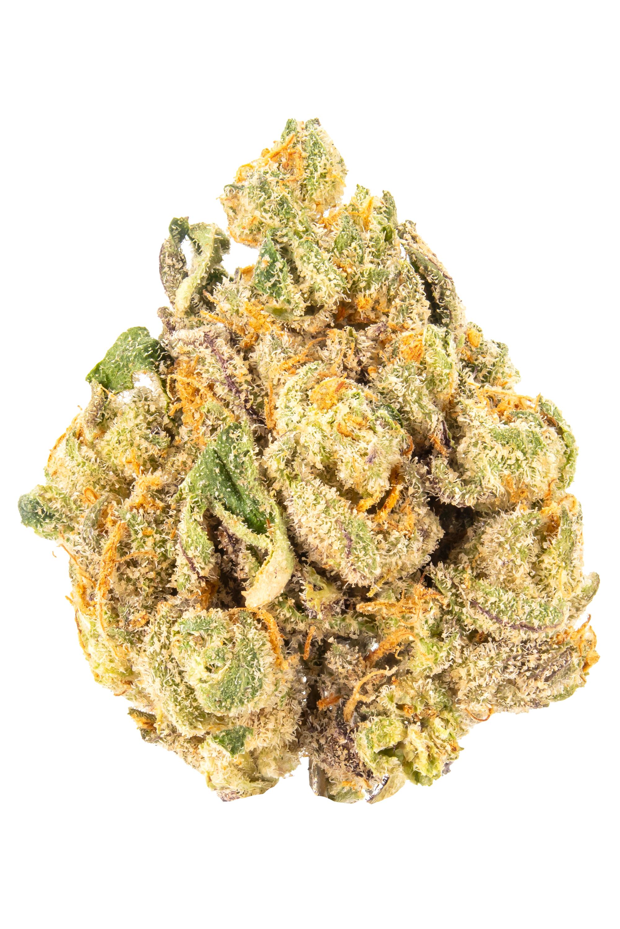 Miami Vice - Hybrid Cannabis Strain