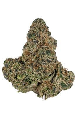 Mimosa - Hybrid Cannabis Strain by Hytiva Mimosa - Hybrid Cannabis Strain