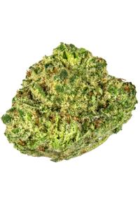 Mountain Glue - Hybrid Cannabis Strain by Hytiva Mountain Glue - Hybrid Cannabis Strain