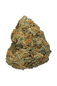 Orange Cookies - Hybrid Cannabis Strain by Hytiva Orange Cookies - Hybrid Cannabis Strain