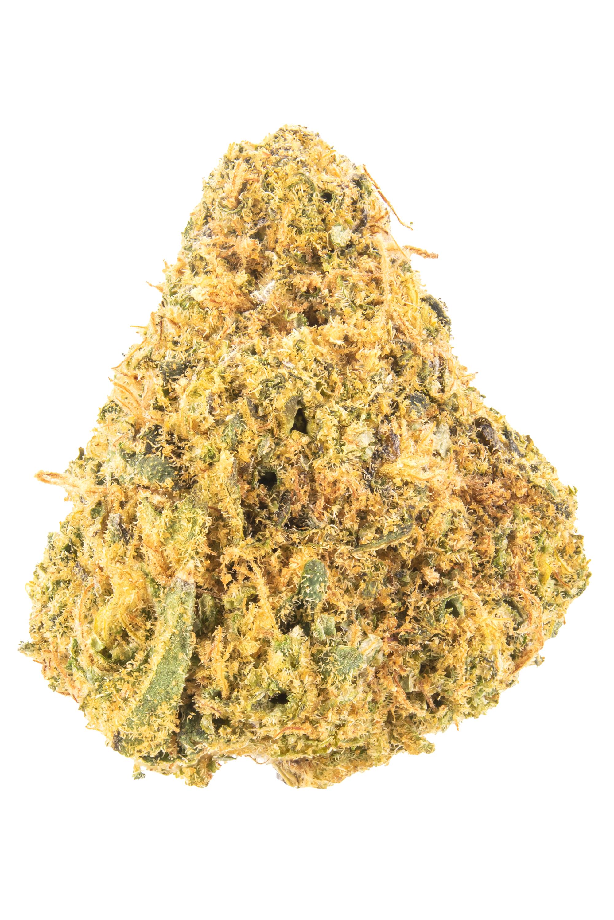 Orangecello - Hybrid Cannabis Strain