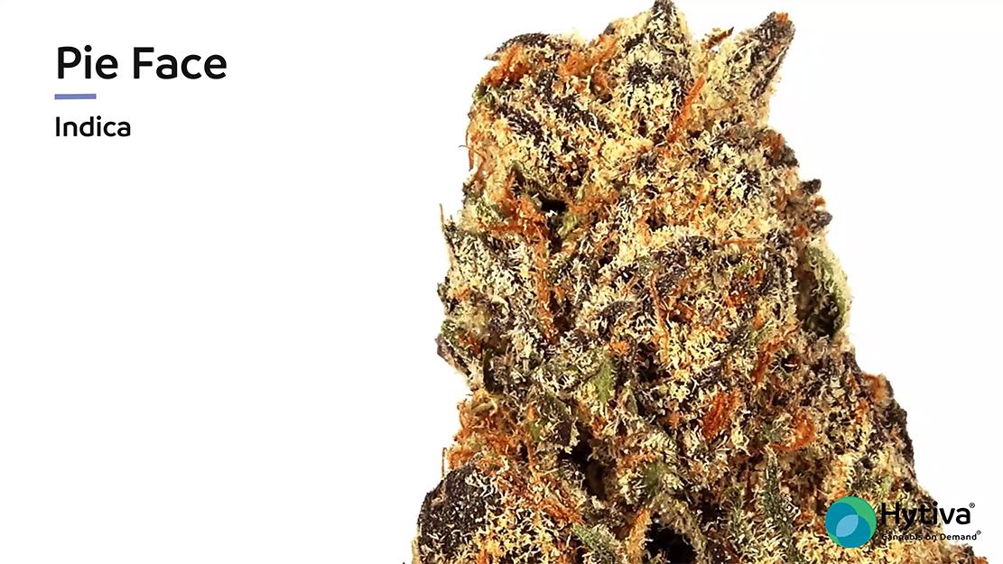 Strain Review Video: Pie Face