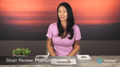 Platinum GSC - Hybrid Cannabis Strain by Hytiva Platinum GSC - Hybrid Strain