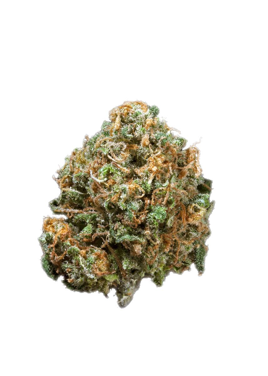 Popcorn Kush - Indica Cannabis Strain