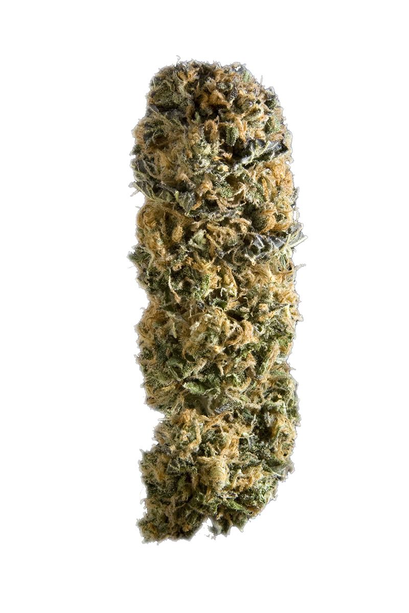 Sensi Star - Indica Cannabis Strain