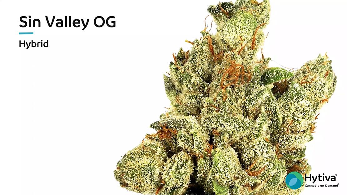 Strain Review Video: Sin Valley OG