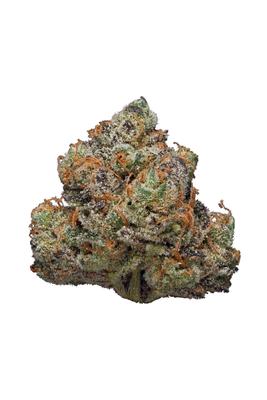 Sour Banana Sherbet - Hybrid Cannabis Strain by Hytiva Sour Banana Sherbet - Hybrid Cannabis Strain