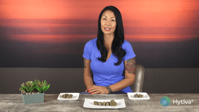 Sour Banana Sherbet - Hybrid Cannabis Strain by Hytiva Sour Banana Sherbet - Hybrid Strain