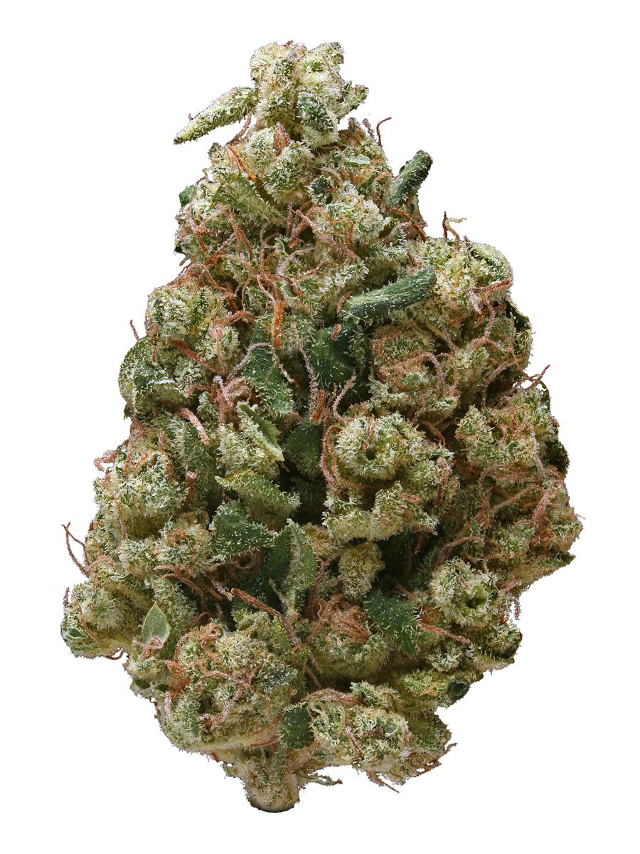 Sour Dawg - Hybrid Cannabis Strain