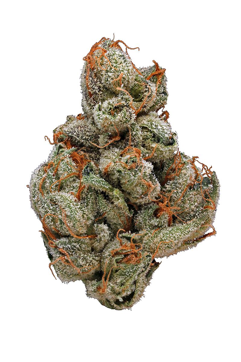 Sour LA - Hybrid Cannabis Strain