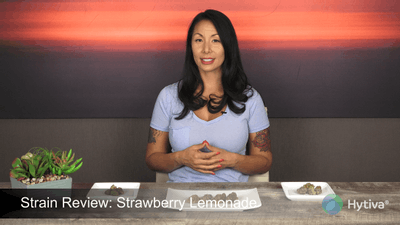 Strawberry Lemonade - Hybrid Cannabis Strain by Hytiva Strawberry Lemonade - Hybrid Strain