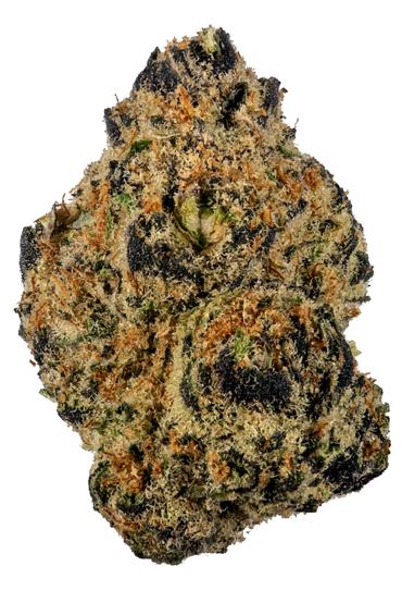 Sunny D - Hybrid Cannabis Strain by Hytiva Sunny D - Hybrid Cannabis Strain