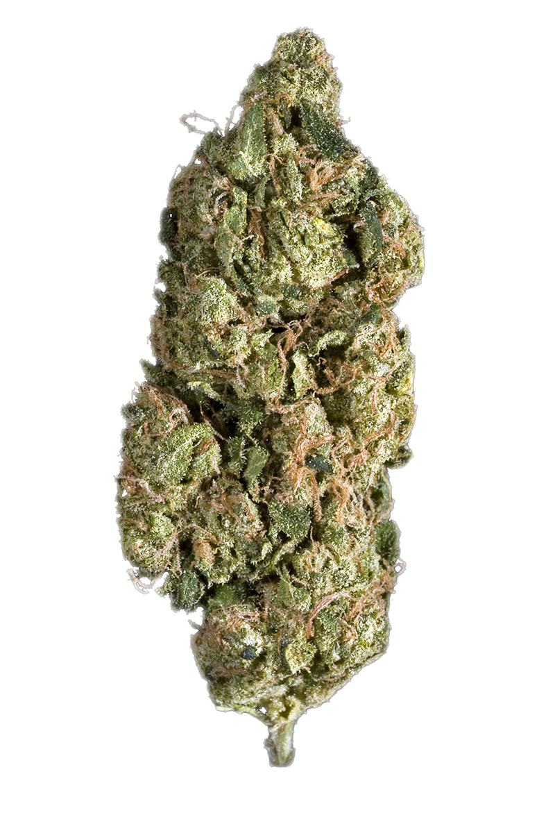 Super Sour Diesel - Sativa Cannabis Strain