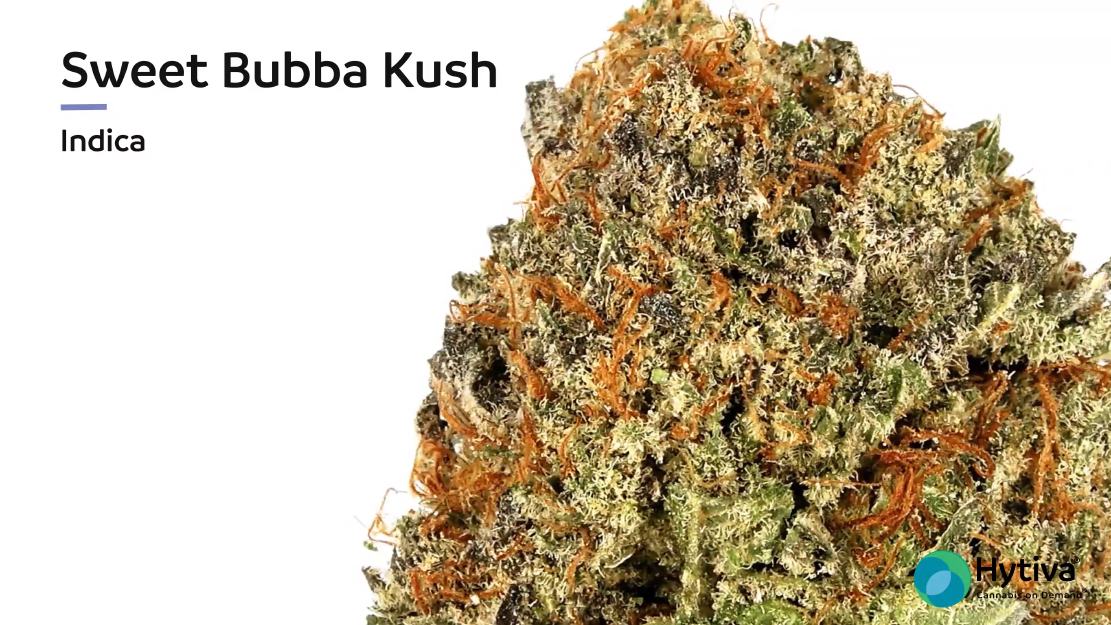Vídeo de avaliação de estirpe: Sweet Bubba Kush