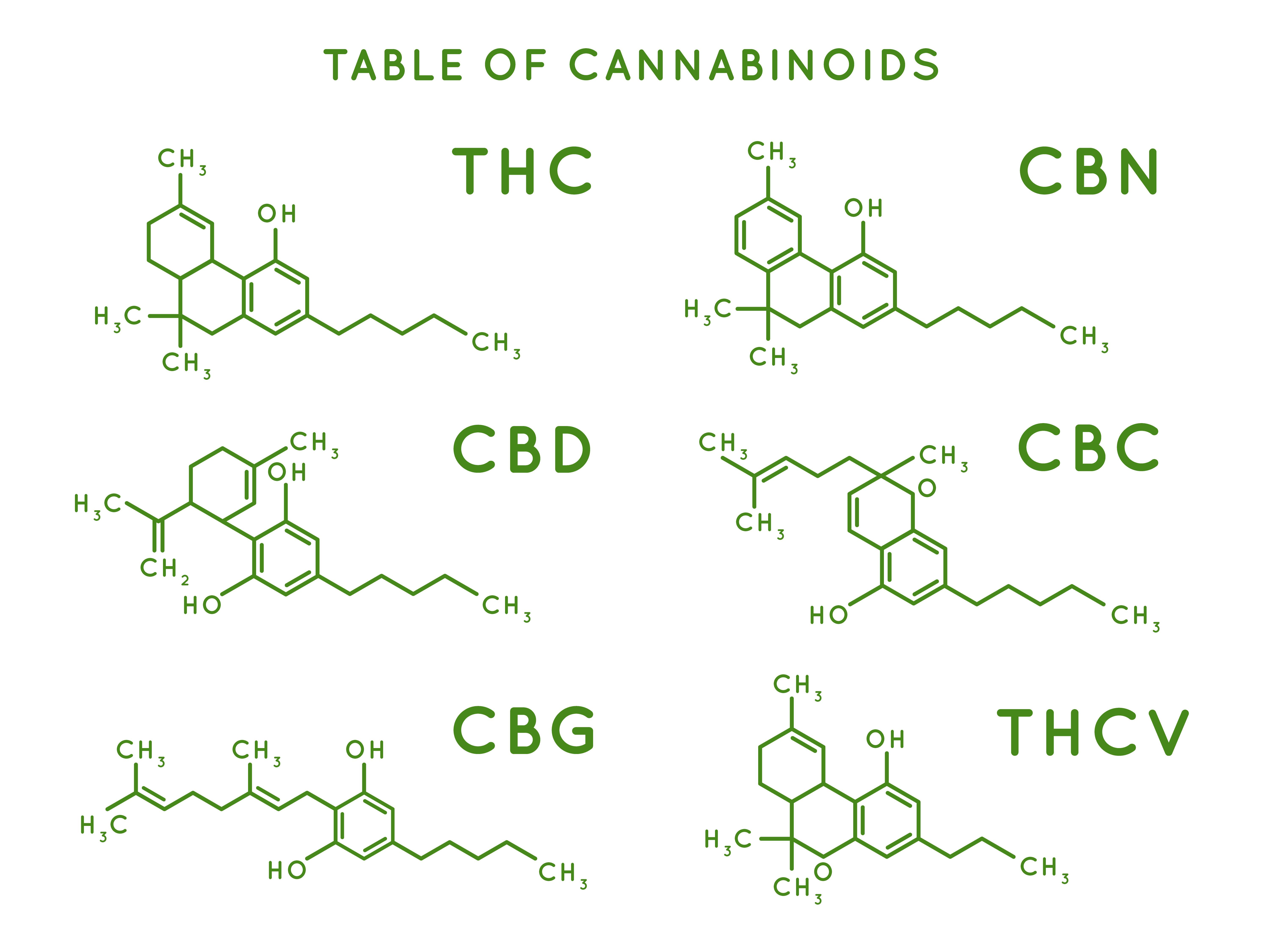 Green colored diagram showing the molecular structure of cannabinoids THC, CBD, CBG, CBN, CBC and THCV.
