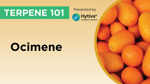 Ocimene : Know Your Terpenes