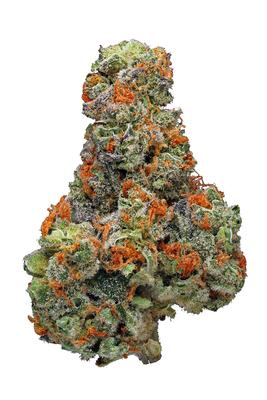 UK Cheese - Hybrid Cannabis Strain by Hytiva UK Cheese - Hybrid Cannabis Strain