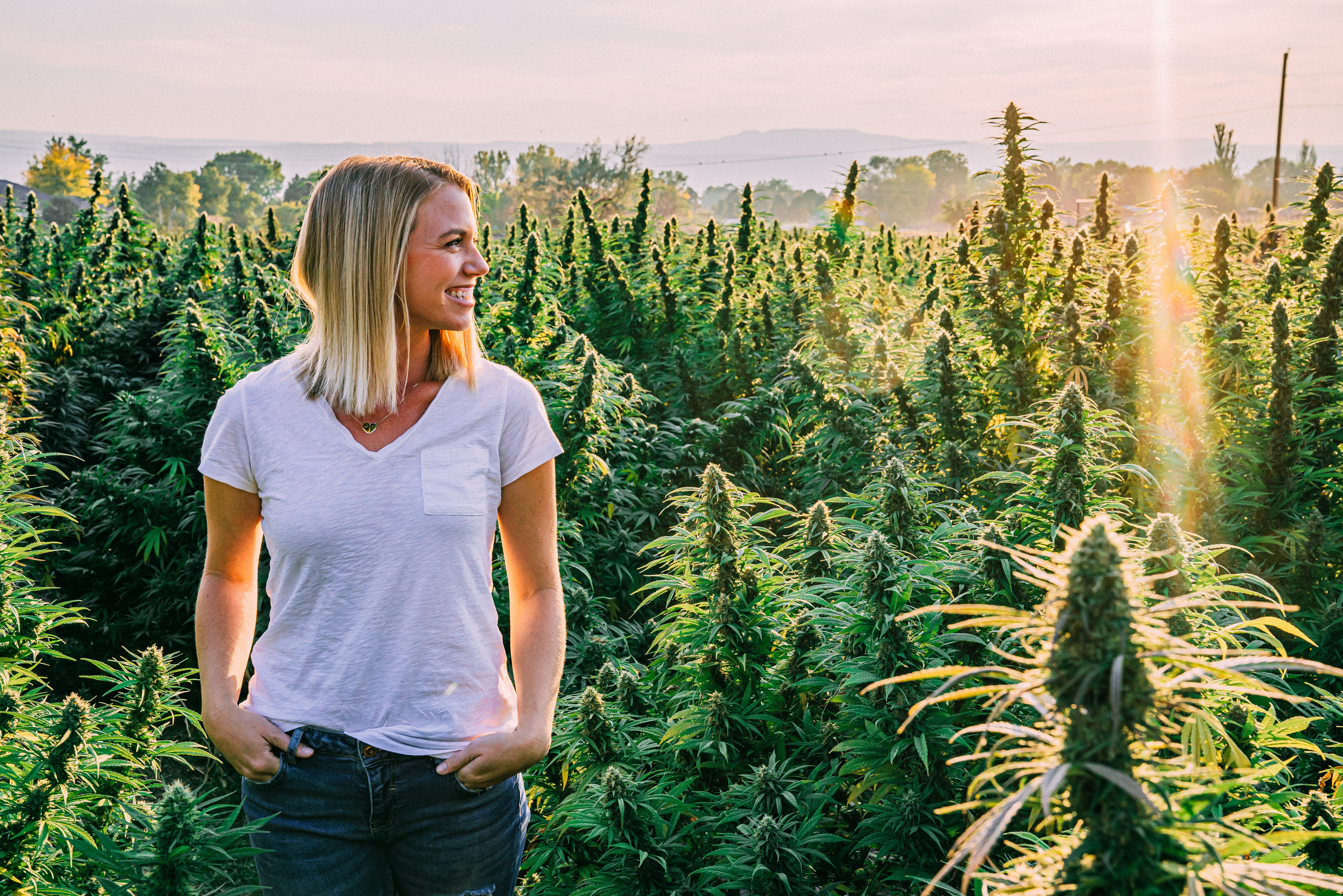 A woman is standing in a hemp farm smiling looking to her left with the sun reflecting on the plants.