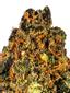 2 Scoops Hybrid Cannabis Strain Thumbnail