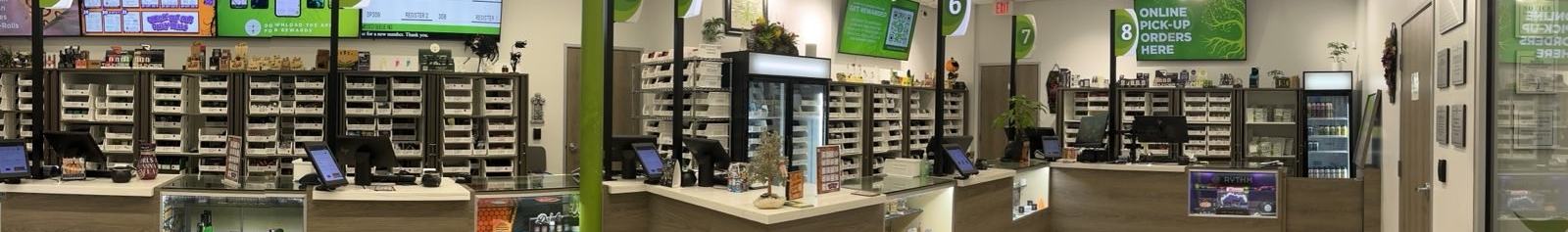 Tree of Life - Las Vegas In Store Panoramic