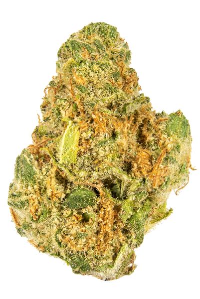 22 - Hybrid Cannabis Strain