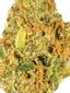 22 Hybrid Cannabis Strain Thumbnail