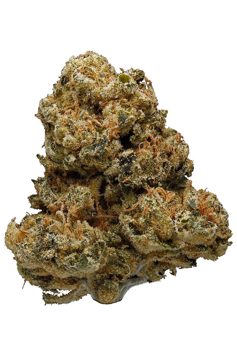 3 Kings - Hybrid Cannabis Strain