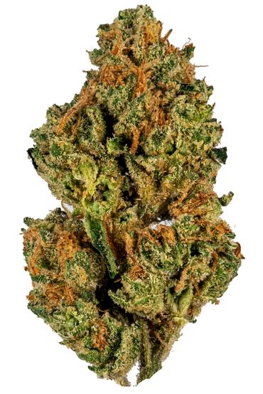 3 Pac - Hybrid Cannabis Strain