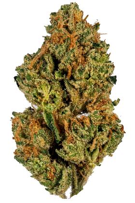 3 Pac - Hybride Cannabis Strain