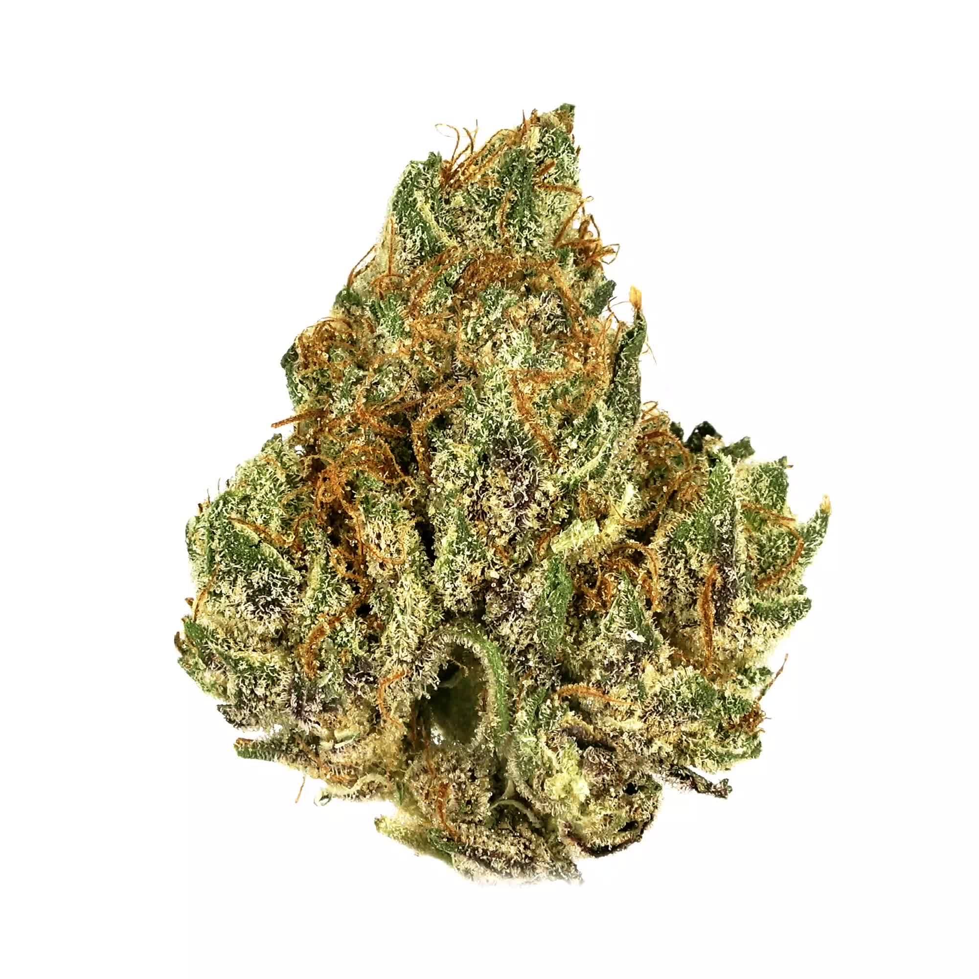Diamond Sauce #3 360 Bud