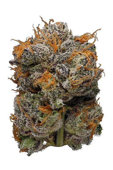 3X Crazy - Hybrid Cannabis Strain