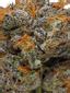 3X Crazy Hybrid Cannabis Strain Thumbnail