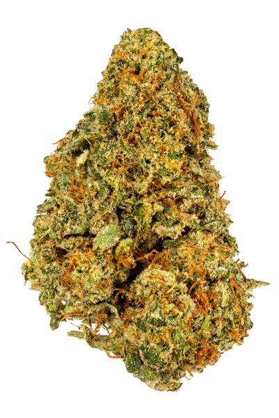 40 Winks - Hybrid Cannabis Strain