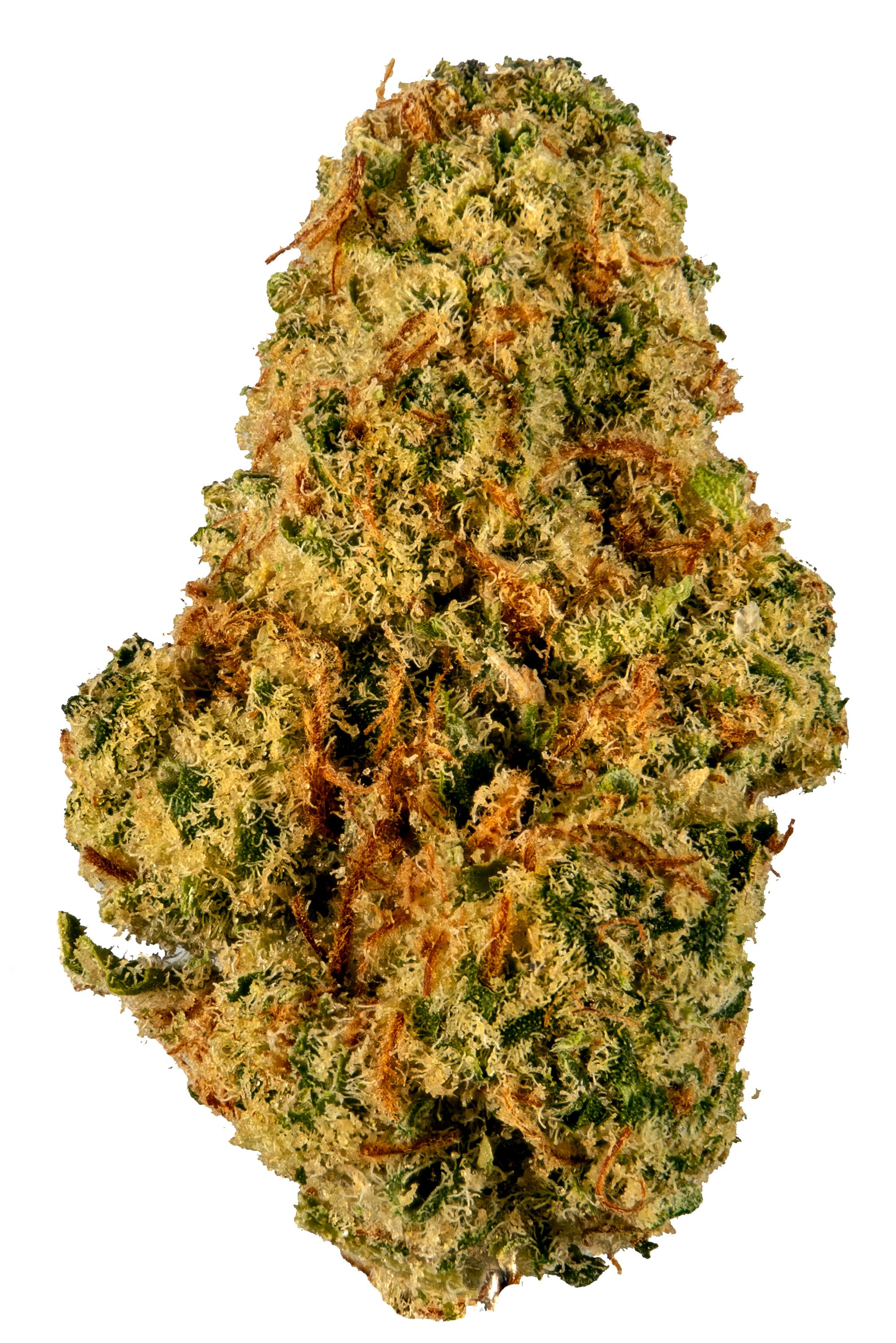 401k - Híbrido Cannabis Strain