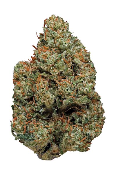 5 G OGSD - 混合物 Cannabis Strain