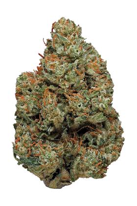 5 G OGSD - Hybrid Cannabis Strain