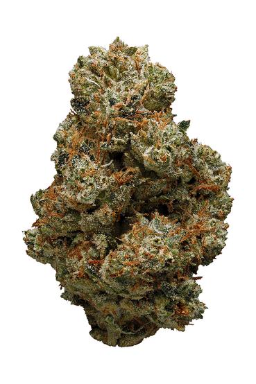 501st OG - Hybrid Cannabis Strain