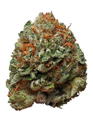 5th Element - Hybrid Cannabis Strain