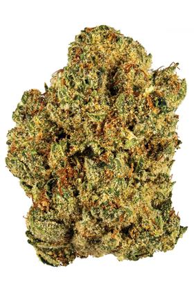 702 OG - Híbrida Cannabis Strain