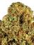 702 OG Hybrid Cannabis Strain Thumbnail