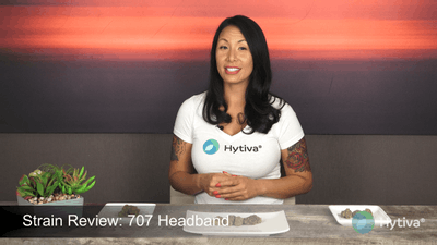 707 Headband - Hybrid Strain