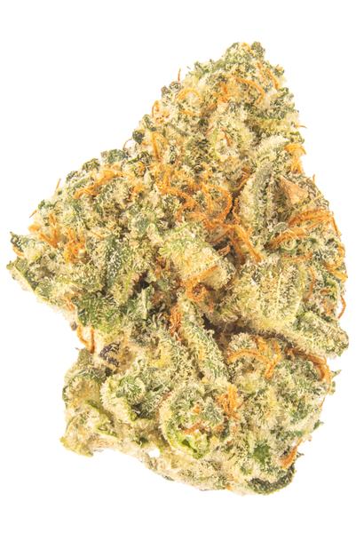 8 Inch Bagel - Hybrid Cannabis Strain