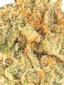 8 Inch Bagel Hybrid Cannabis Strain Thumbnail