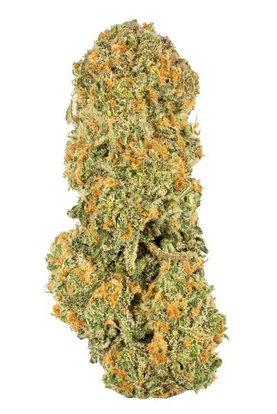 9 Pound Blueberry - 混合物 Cannabis Strain