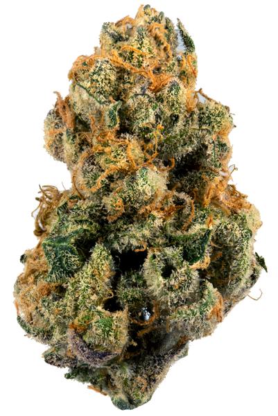 9 Pound Hammer - Híbrida Cannabis Strain