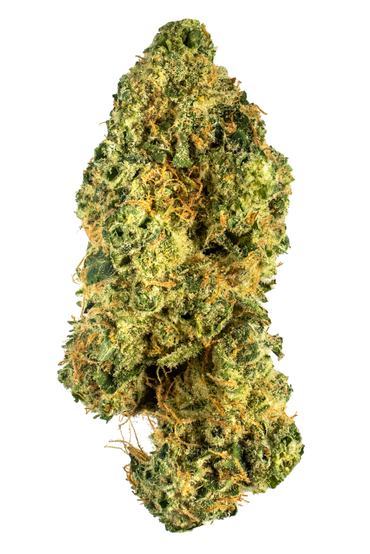 9 Pound Larry - Hybrid Cannabis Strain