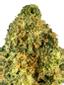9 Pound Larry Hybrid Cannabis Strain Thumbnail